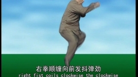 太極最新版本下載，時(shí)代技術(shù)結(jié)晶，全新體驗(yàn)等你來(lái)探索