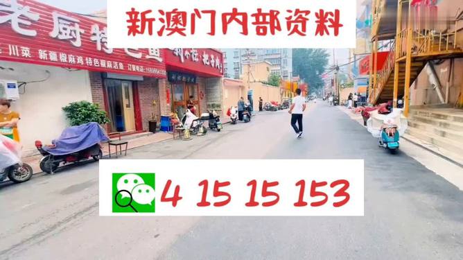 ＂2024澳門天天開好彩大全開獎結果＂的：實踐調(diào)查說明_極致版2.5
