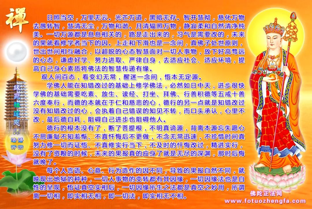 最新佛法開示揭秘，小巷深處的禪意寶藏探尋