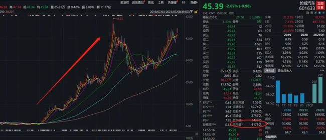 股票溢價率的深度解析，奇妙旅程揭秘其含義與影響