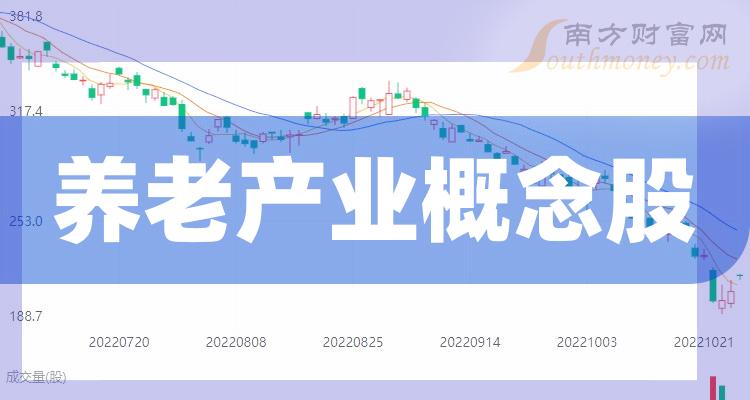養(yǎng)老上市公司，小巷中的隱秘寶藏與特色小店的無限魅力探索