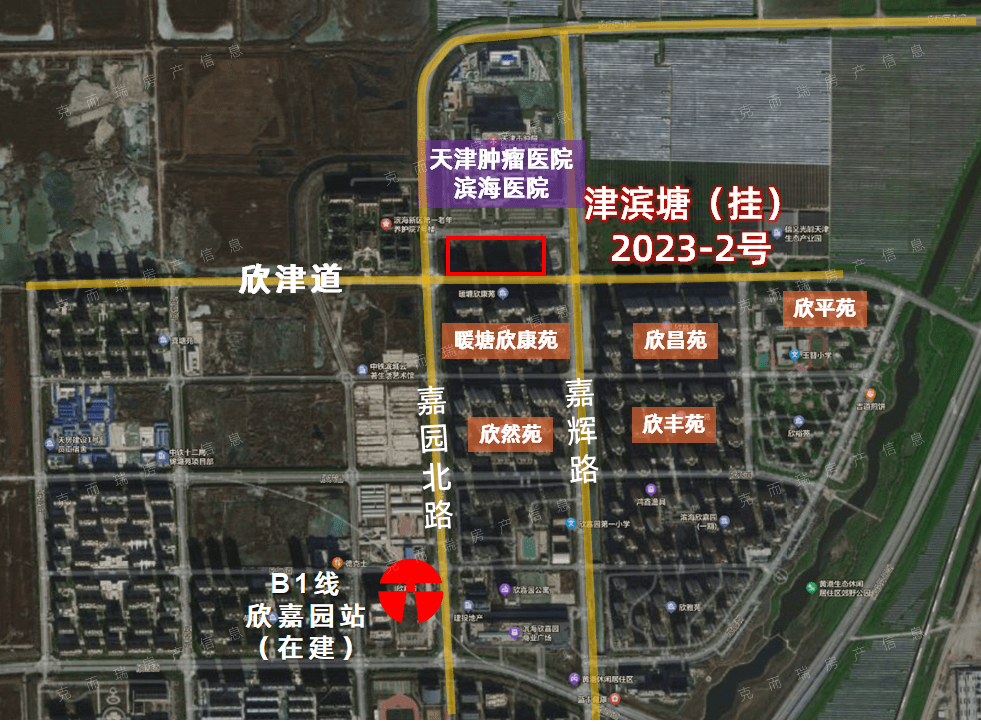 獨(dú)流津灣家園最新動態(tài)，科技前沿重塑生活體驗