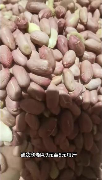 帶殼花生最新批發(fā)價(jià)格，變化中學(xué)習(xí)，成就自信與夢(mèng)想之路
