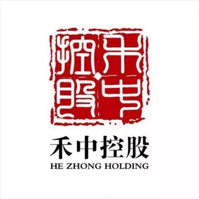 禾中控股集團(tuán)最新消息概覽，權(quán)威指南發(fā)布