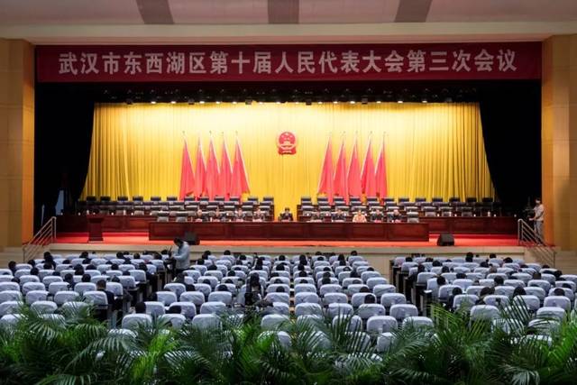 東西湖區(qū)最新任免，人事變動的觀點闡述與解析