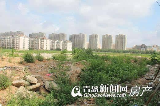 李滄楊哥莊最新動態(tài)，科技引領(lǐng)生活，智能新品體驗(yàn)未來