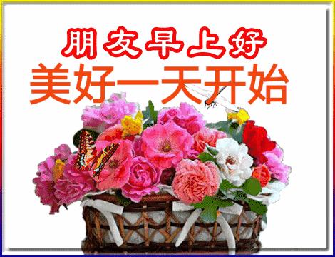 五福碰胡最新版下載，變化、學(xué)習(xí)與自信的力量之源