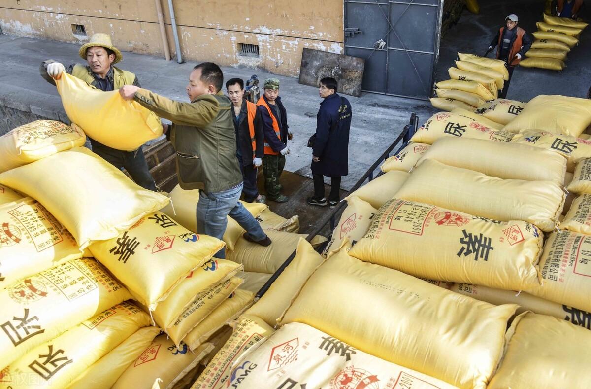 全國(guó)尿素最新價(jià)格，科技重塑生活下的新面貌