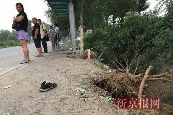 房山車禍真相揭秘，最新消息與各方觀點匯總