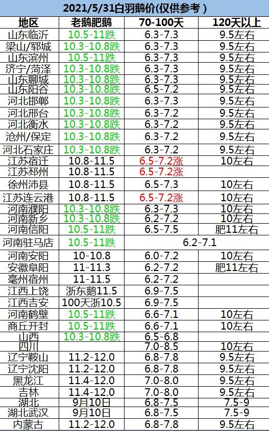 第20頁(yè)