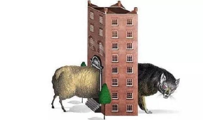 海南經(jīng)富大宗最新公告與小巷美食寶藏探秘