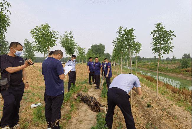 茄子河最新棚改消息深度分析與觀點(diǎn)闡述